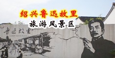 女生被男生射的视频中国绍兴-鲁迅故里旅游风景区
